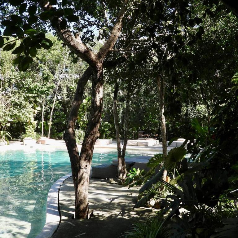 NEW! La veleta 2BR, pool, jacuzzi & gym - Casa de 2 dormitorios - 13