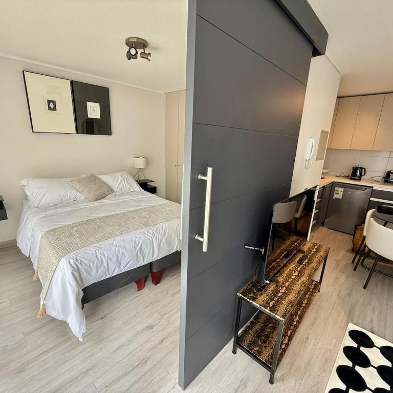 Comfort and luxury in downtown Santiago - Two-Bedroom Apartment - 16