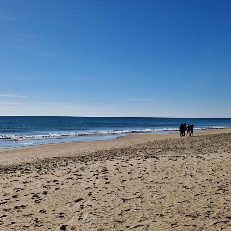 Maisonnette climatisée, animaux OK - Proche plage - FR-1-387-228 - Maison de Vacances - 14