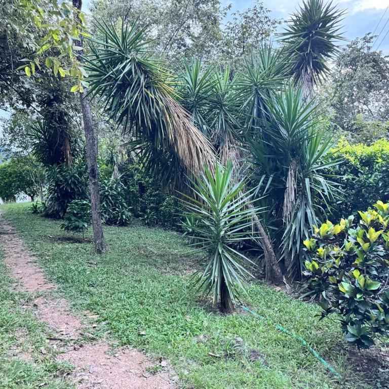 Beautiful Private House with Beautiful View and Wifi - Three-Bedroom House - 80