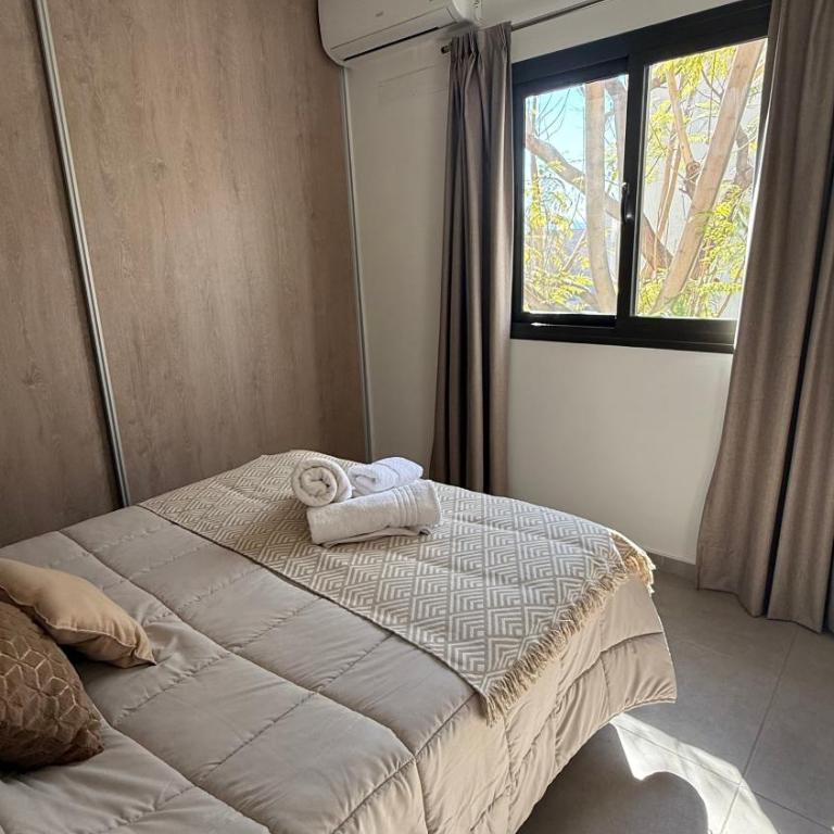 Pellegrini Apartments Mendoza !! Estupendos Departamentos con Cochera Privada cercanos a Parque Gral San Martin - Two-Bedroom Deluxe Apartment with Balcony - 6