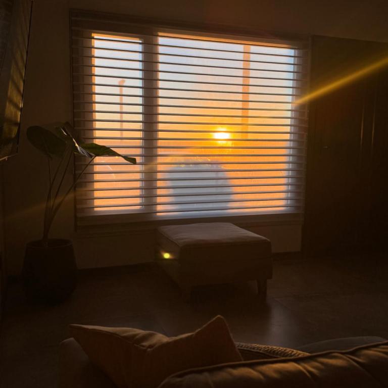 Casa en Zona Norte - Casa con 1 dormitorio - 7