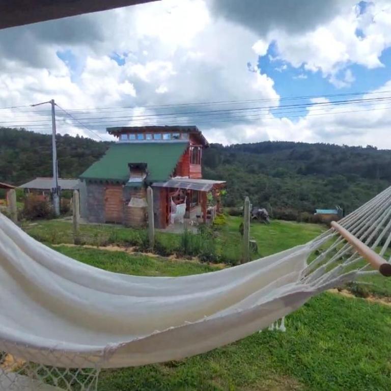 Olivares - Casa con 1 dormitorio - 1