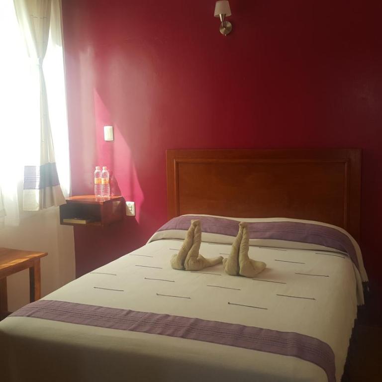 Hotel Florida Oaxaca - Habitación Individual - 3