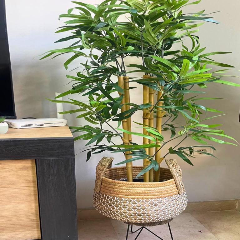 Home4u Cartuja - One-Bedroom Apartment - 24