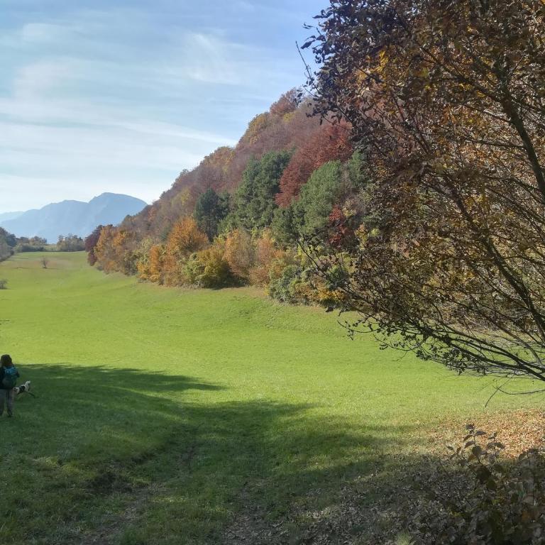 Residenza al Monte appartamento Paganella - Apartamento de 2 dormitorios - 14
