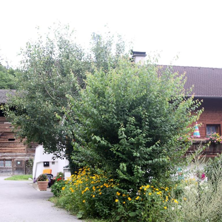 Plattnerhof - Apartment mit 2 Schlafzimmern und Terrasse - 15