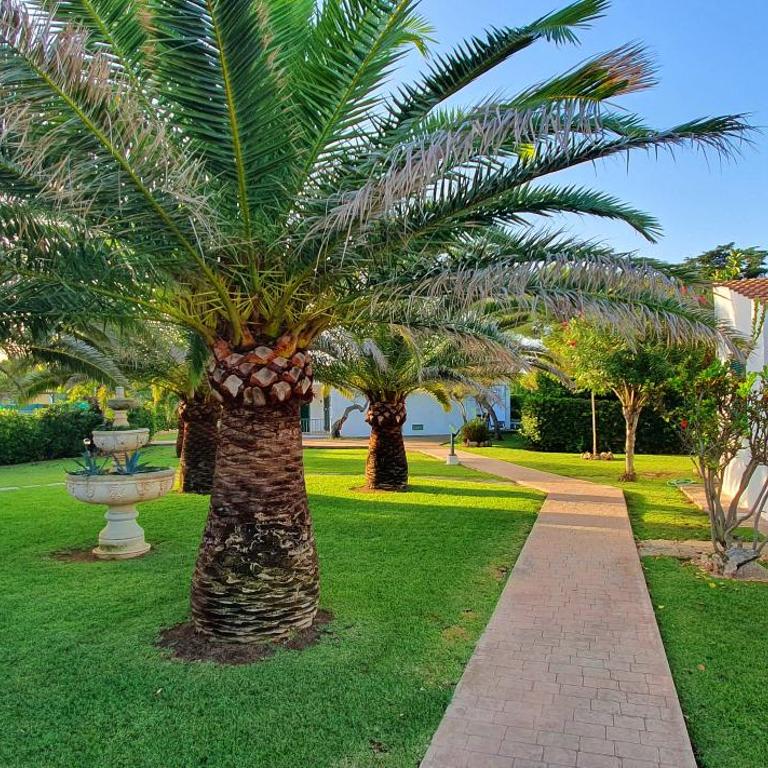 S'ERMITA - Las Golondrinas - Apartamento de 1 dormitorio - 7