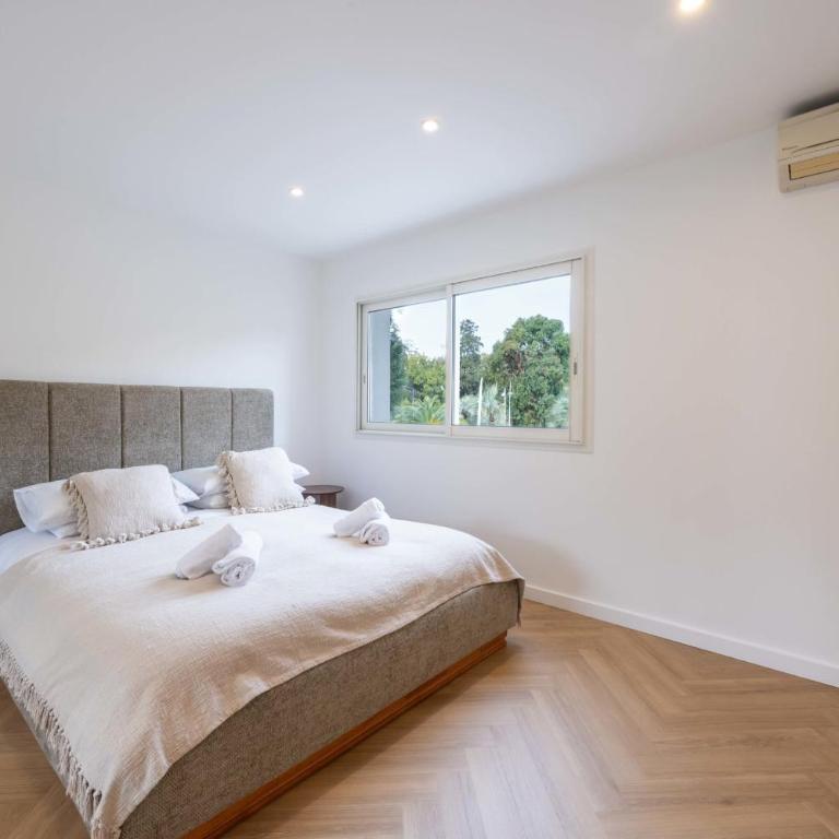 3P Traversant Vue Mer Cannes Est - Appartement - 24