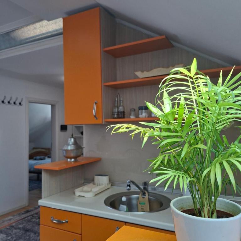 Villa Sabic - Free Garage & Panoramic View - Apartman sa 2 Spavaće Sobe - 36