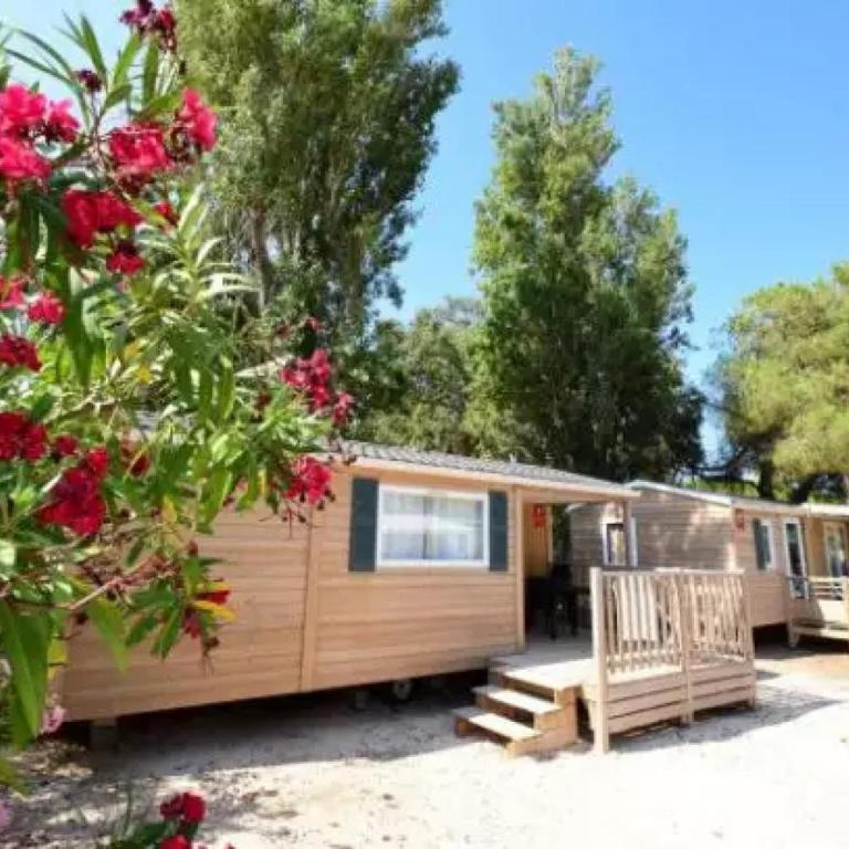Camping - eebaeb - Mobile Home Studio - 13