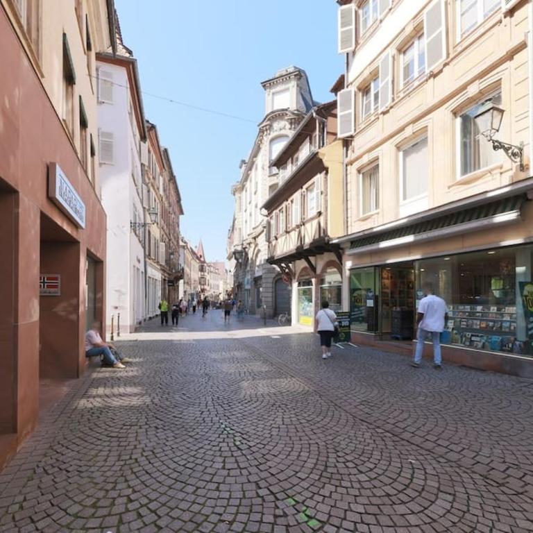 Le Nid Alsacien - Charmant T2 au centre ville de Strasbourg - One-Bedroom Apartment - 12