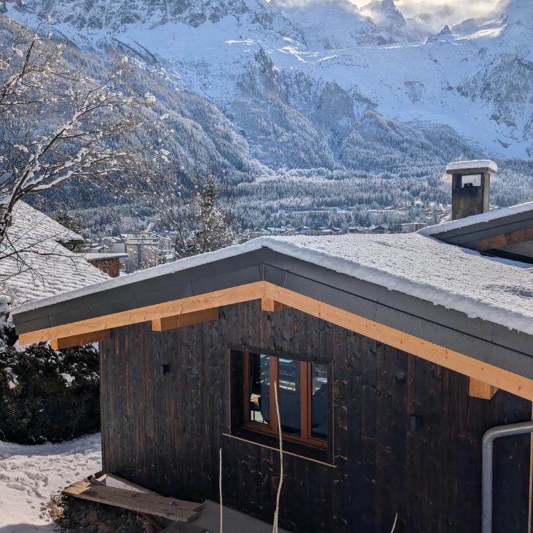Stunning New Apartment in Chamonix with Mont Blanc Views - Apartamento de 1 dormitorio - 35
