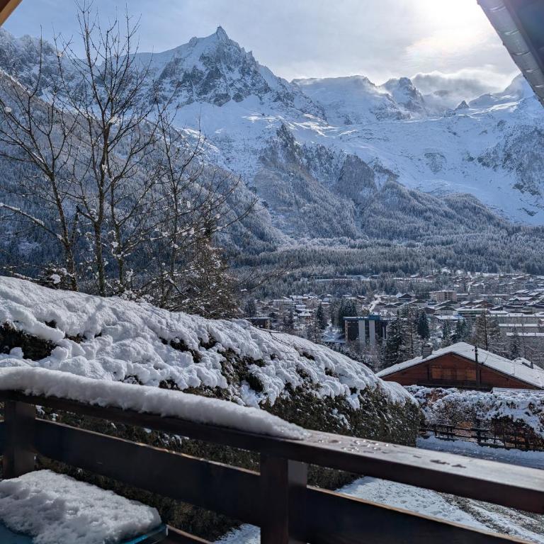 Stunning New Apartment in Chamonix with Mont Blanc Views - Apartamento de 1 dormitorio - 33