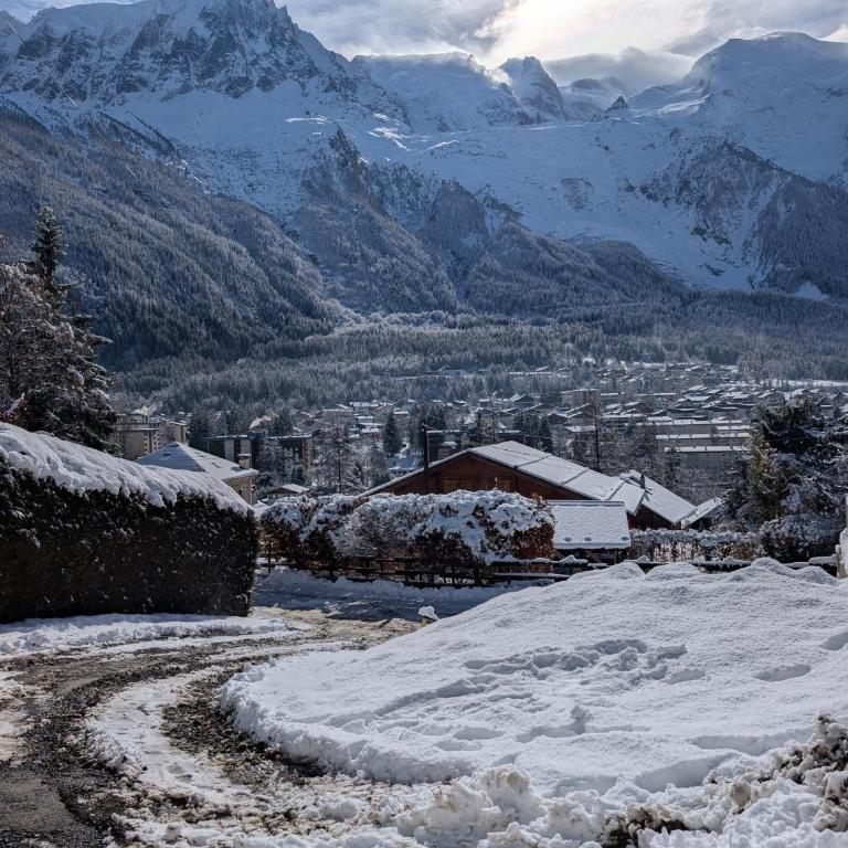 Stunning New Apartment in Chamonix with Mont Blanc Views - Apartamento de 1 dormitorio - 3