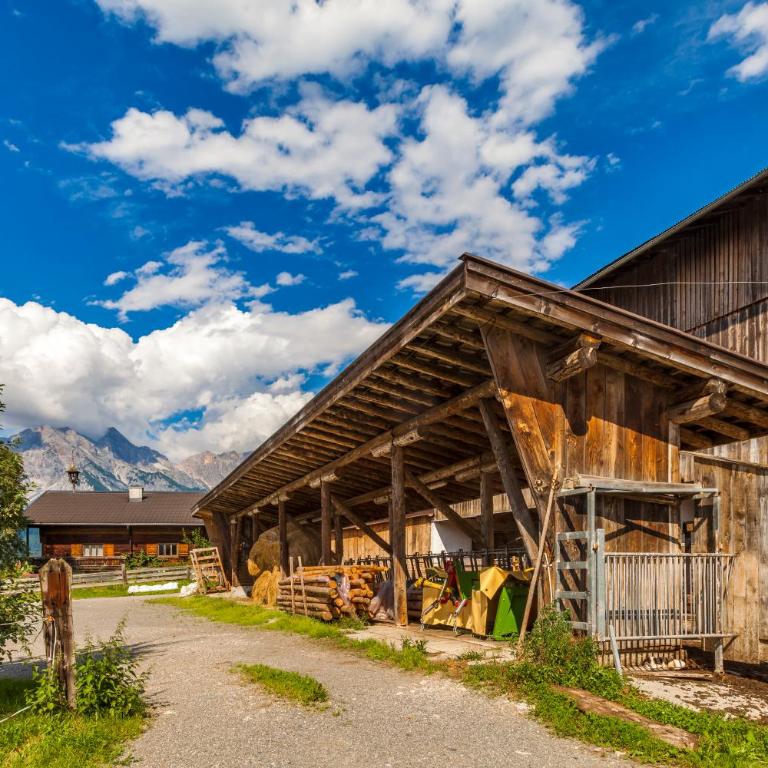 Ferienwohnung Örgenbauer - Appartamento con Vista Montagna - 18