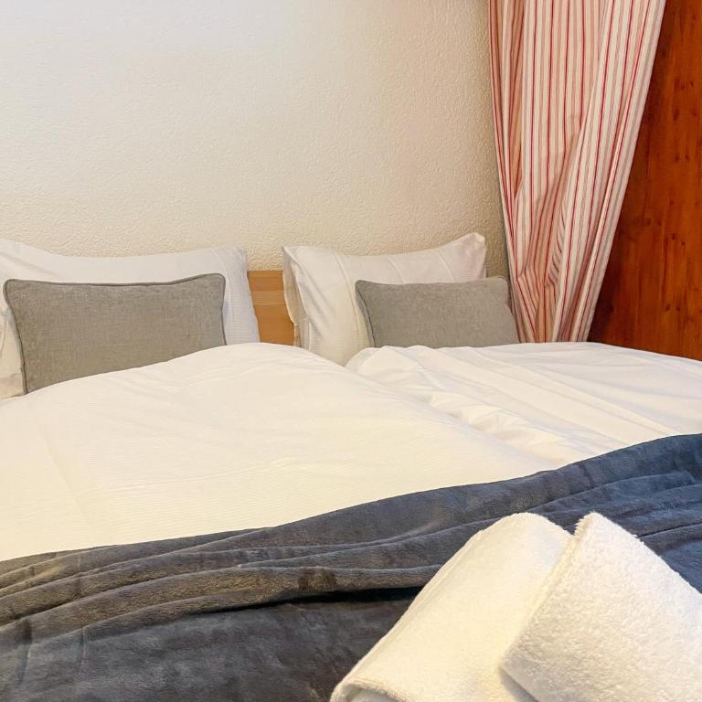 Nendaz Alpine Studio - Ski & Swimming Pool - Appartement 1 Chambre - 4