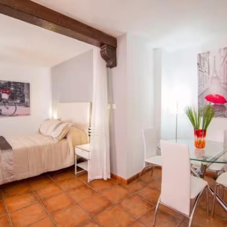 Apartamento Pavaneras en pleno centro de Granada - Two-Bedroom Deluxe Apartment with Balcony - 10