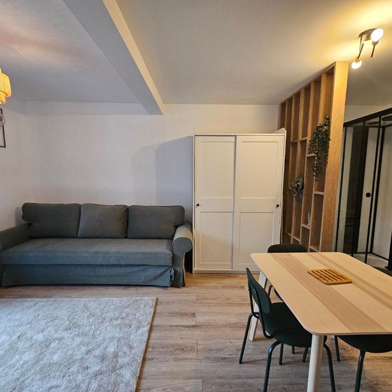 Le Beout - Studio - Halles Lourdes - Studio-Apartment - 15