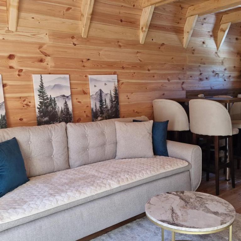 Golden pine chalet Žabljak - Vacation Home - 4