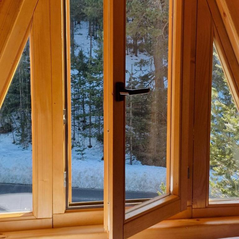 Golden pine chalet Žabljak - Vacation Home - 11