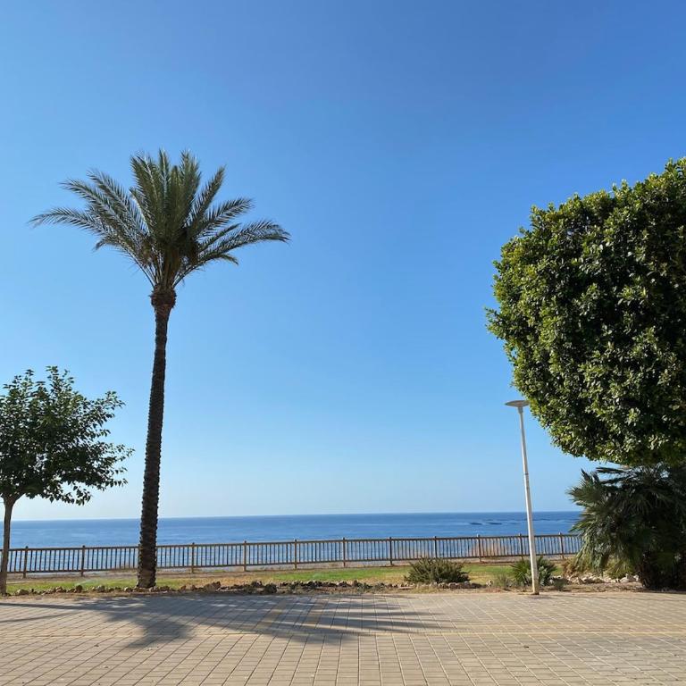 Sun and beach - Two-Bedroom Apartment - 17