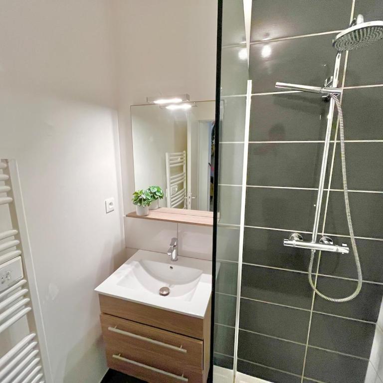 The Purple Suite - Duplex - Mulhouse Center - Apartment mit 2 Schlafzimmern - 15