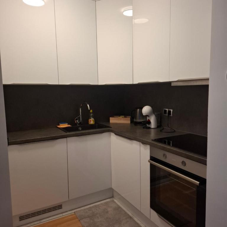 Golden stay Bulevar - Apartman sa 2 Spavaće Sobe - 5