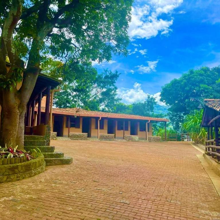 Natural paradise near Medelln - Villa - 16