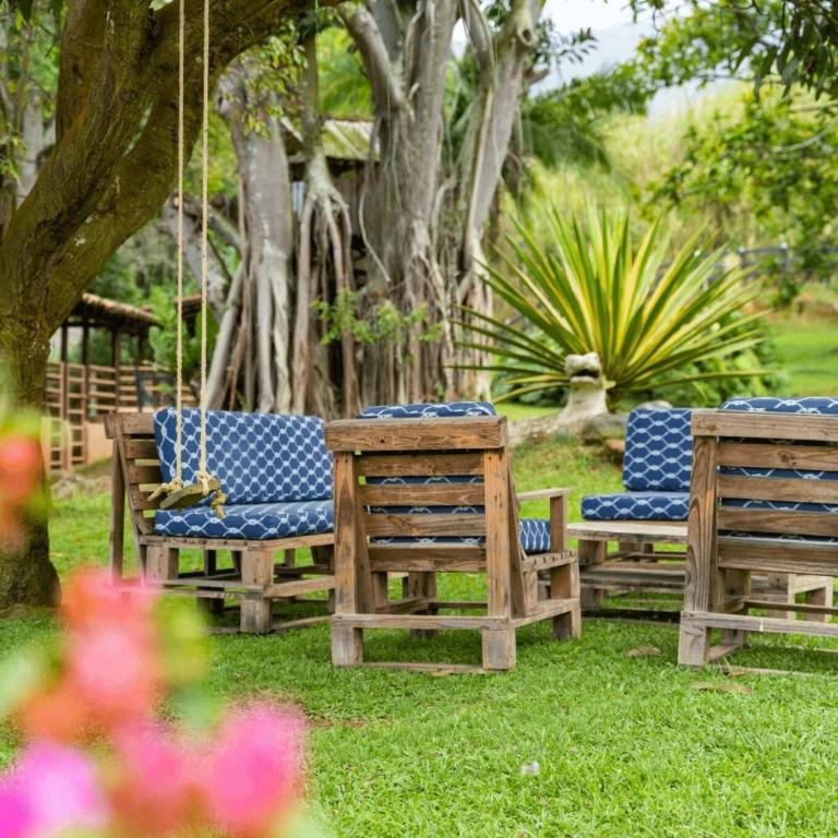 Natural paradise near Medelln - Villa - 11