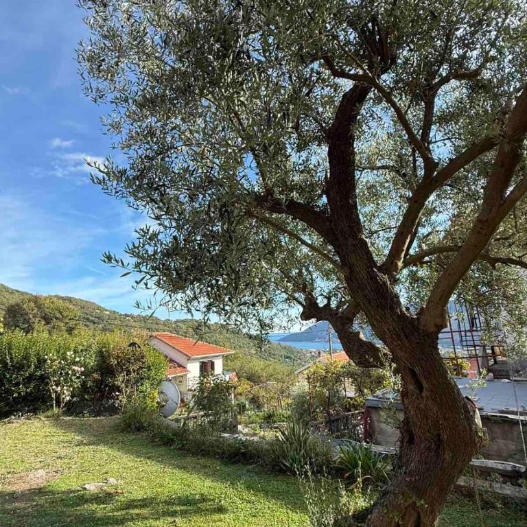 Seaview Chalet - Two-Bedroom House - 12