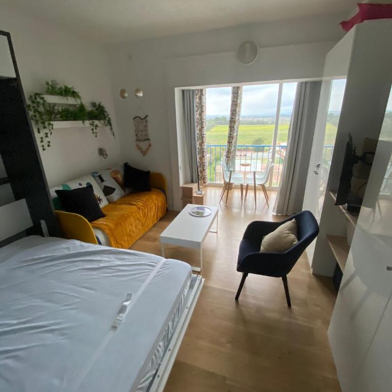 Studio avec Piscine et Vue Montagne - One-Bedroom Apartment - 9
