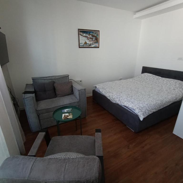 Apartmani Planinski Bor - One-Bedroom Apartment - 3