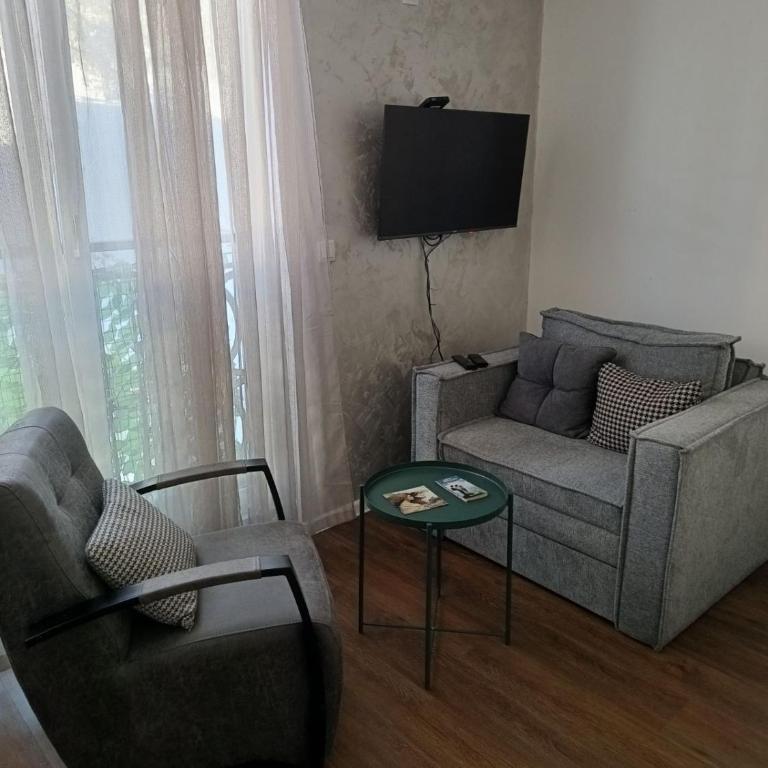 Apartmani Planinski Bor - One-Bedroom Apartment - 2