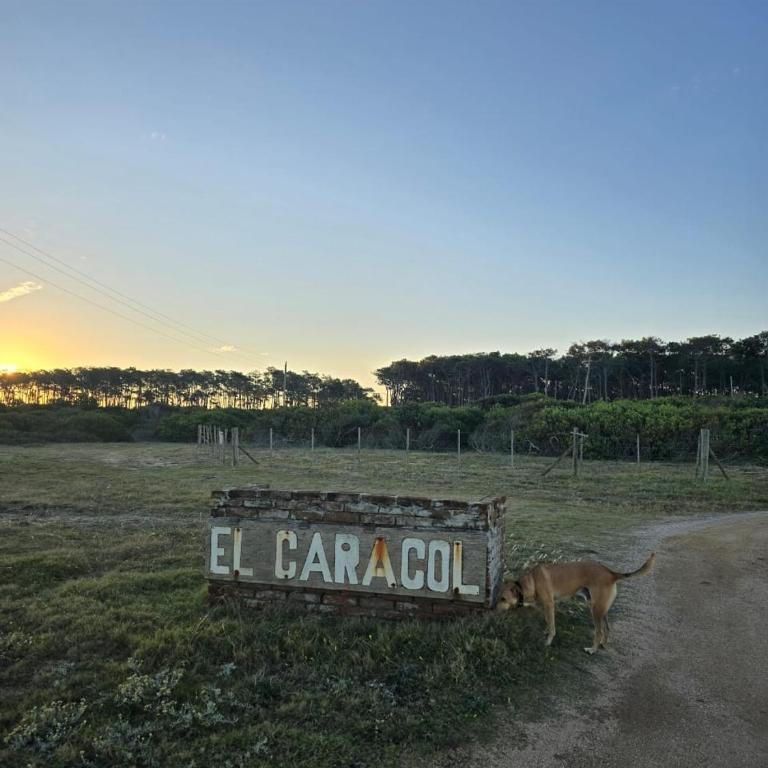 Arenas Garzon - One-Bedroom Apartment - 8