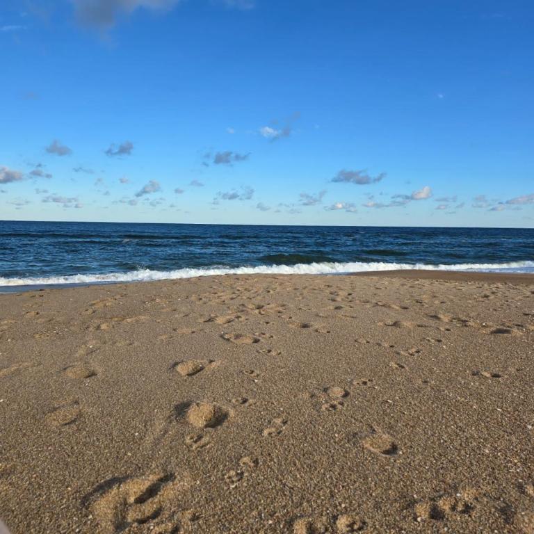 Arenas Garzon - One-Bedroom Apartment - 9