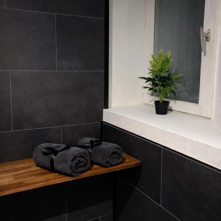 L'Envers SPA - Suite Romantique Metz Centre - Apartment mit 1 Schlafzimmer - 13