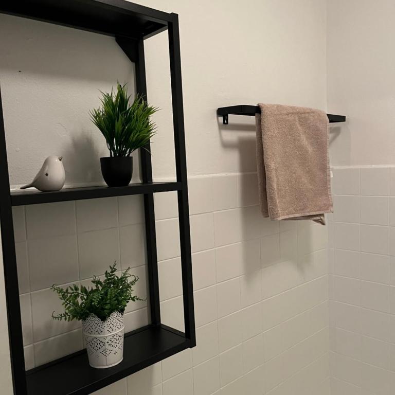 Coquet studio 10 min de Cannes - Appartement - Rez-de-Chaussée - 13