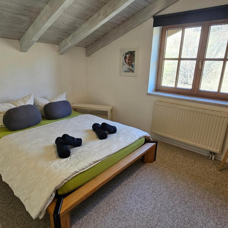 Jungholz Erlebnis - Apartment mit Balkon - 6