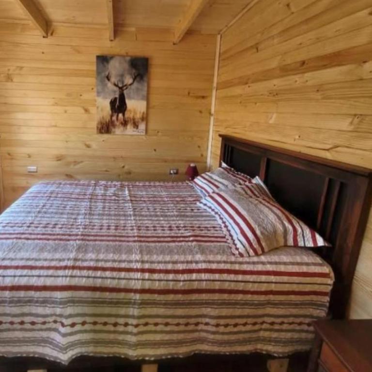 calafate - Two-Bedroom House - 7