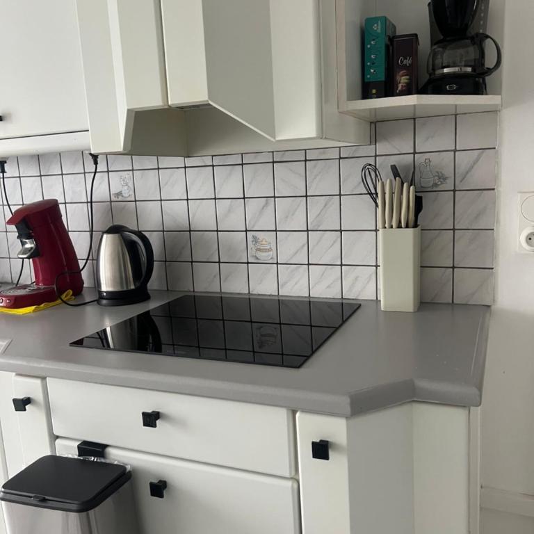 Appartement calme et cosy tout équipé - Apartment mit 1 Schlafzimmer - 30