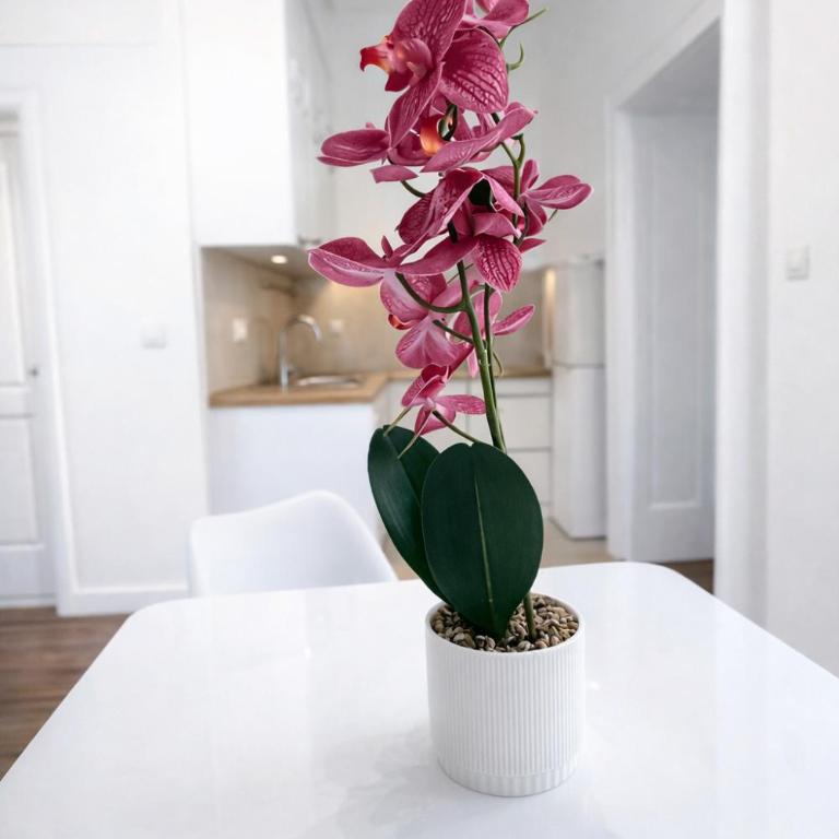 Central Belgrade Apartments - Two-Bedroom Family Apartment - 2