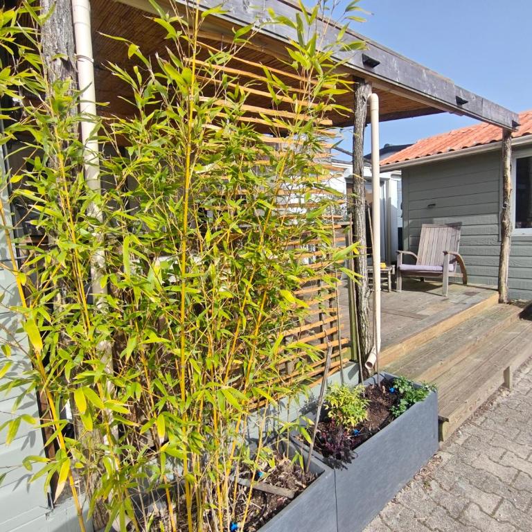 Maison 47m2 climatisé, piscine,linge fourni - Chalet 2 Chambres - 3