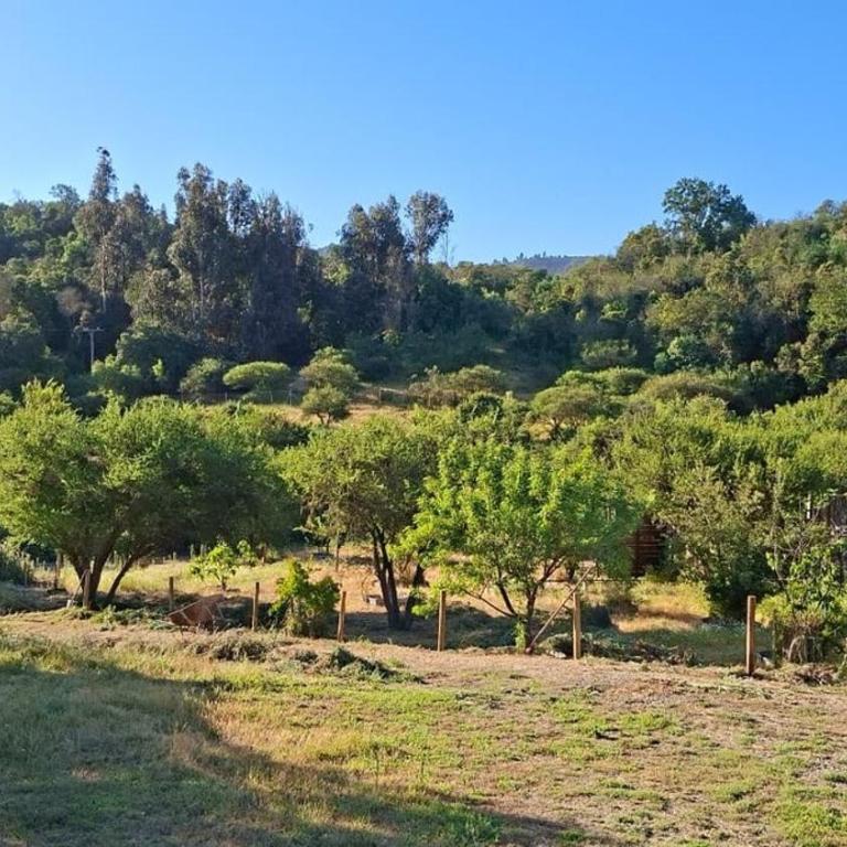 casona de campo - Three-Bedroom Chalet - 14
