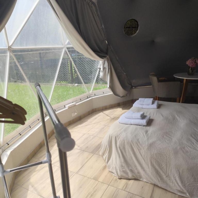 Glamping Vaqueros - Tienda - 4