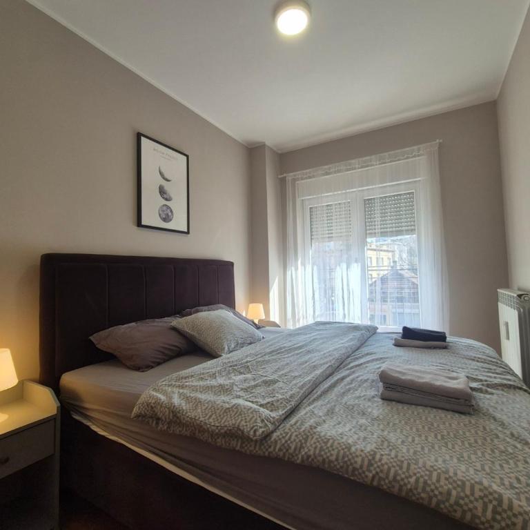 Vukov Spomenik Two-Bedroom Apartment with Terrace - Two-Bedroom Apartment - 20