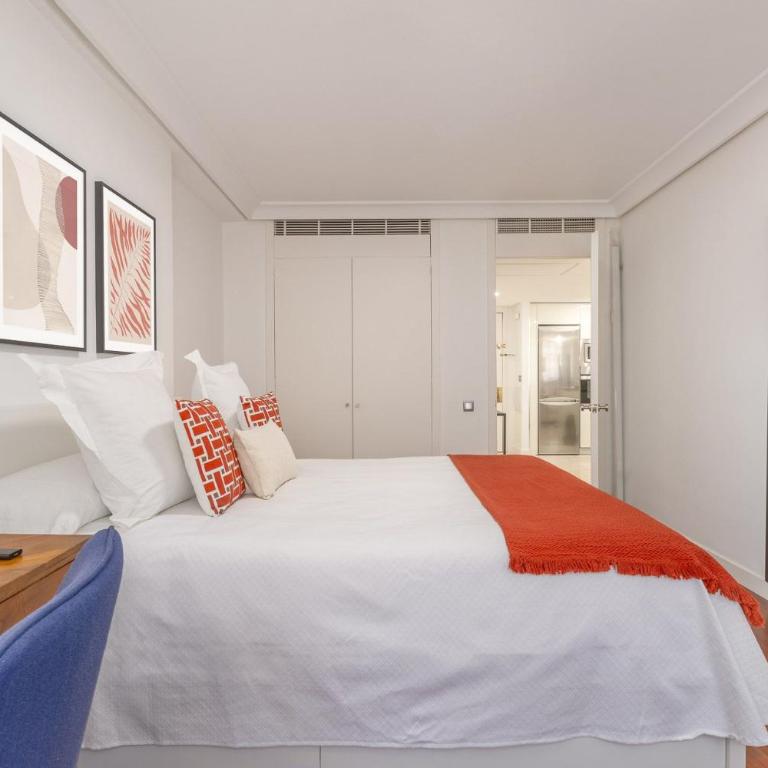 Stylish and Bright Flat in Salamanca District - One-Bedroom Apartment - 8