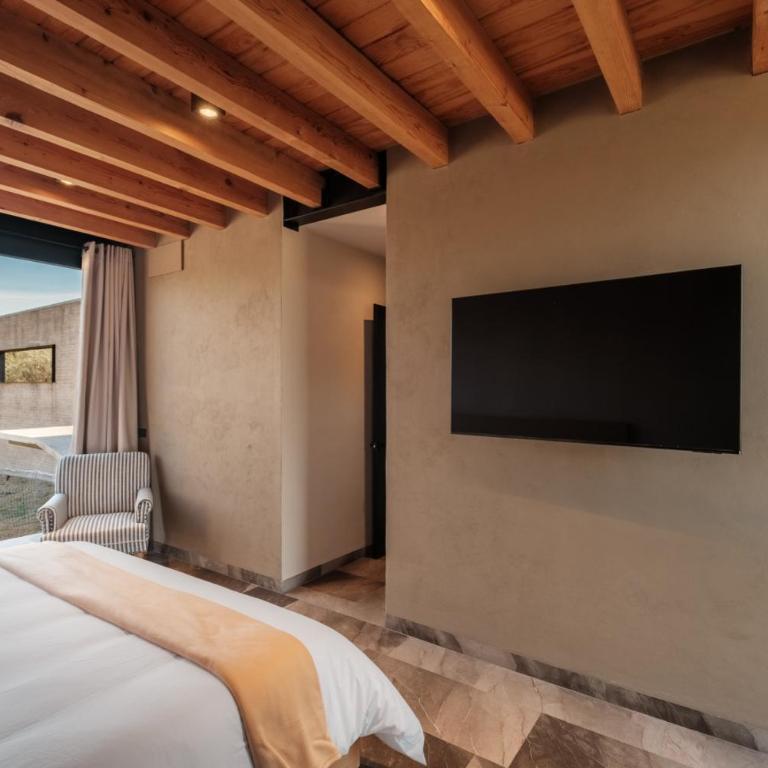Casa Iremia Serene Luxury Villa in San Miguel de Allende wtih pool - Habitación Doble con vistas al parque - 21