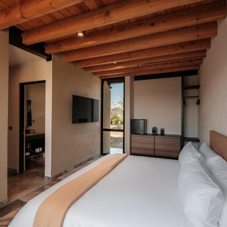 Casa Iremia Serene Luxury Villa in San Miguel de Allende wtih pool - Habitación Doble con vistas al parque - 22