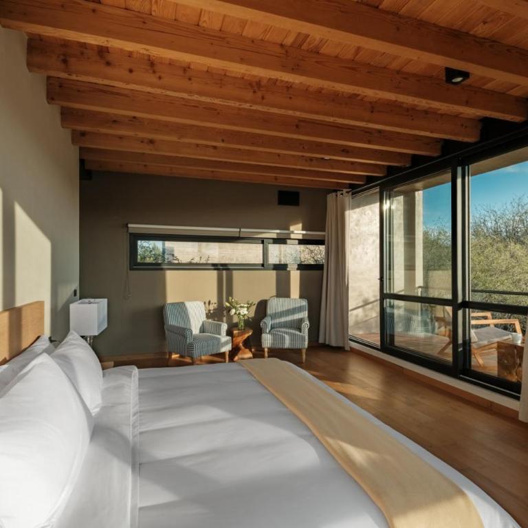 Casa Iremia Serene Luxury Villa in San Miguel de Allende wtih pool - Habitación Doble con vistas al parque - 54